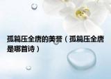 孤篇压全唐的美誉（孤篇压全唐是哪首诗）