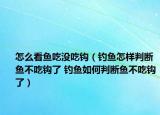 怎么看鱼吃没吃钩（钓鱼怎样判断鱼不吃钩了 钓鱼如何判断鱼不吃钩了）