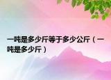 一吨是多少斤等于多少公斤（一吨是多少斤）