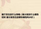 展厅适合放什么绿植（展示室放什么植物招财 展示室适合放哪些植物风水好）