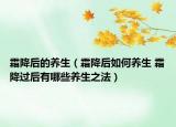 霜降后的养生（霜降后如何养生 霜降过后有哪些养生之法）