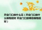 开业门口放什么花（开业门口放什么植物招财 开业门口放哪些植物招财）