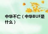 中华不亡（中华BUF是什么）