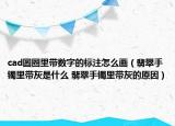 cad圆圈里带数字的标注怎么画（翡翠手镯里带灰是什么 翡翠手镯里带灰的原因）