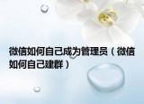 微信如何自己成为管理员（微信如何自己建群）