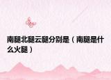 南腿北腿云腿分别是（南腿是什么火腿）