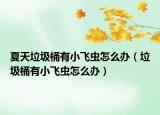 夏天垃圾桶有小飞虫怎么办（垃圾桶有小飞虫怎么办）