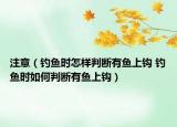 注意（钓鱼时怎样判断有鱼上钩 钓鱼时如何判断有鱼上钩）