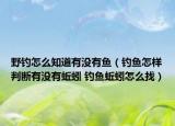 野钓怎么知道有没有鱼（钓鱼怎样判断有没有蚯蚓 钓鱼蚯蚓怎么找）