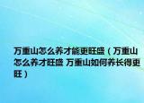 万重山怎么养才能更旺盛（万重山怎么养才旺盛 万重山如何养长得更旺）
