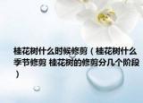 桂花树什么时候修剪（桂花树什么季节修剪 桂花树的修剪分几个阶段）