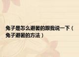 兔子是怎么避暑的跟我说一下（兔子避暑的方法）