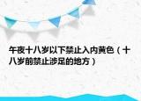 午夜十八岁以下禁止入内黄色（十八岁前禁止涉足的地方）