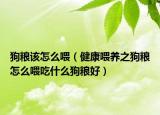 狗粮该怎么喂（健康喂养之狗粮怎么喂吃什么狗粮好）