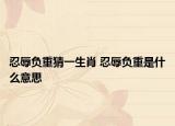 忍辱负重猜一生肖 忍辱负重是什么意思