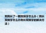 狗狗长了一颗双排牙怎么办（狗长双排牙怎么办狗长双排牙的解决方法）