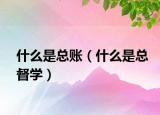 什么是总账（什么是总督学）