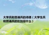 大学兵和普通兵的待遇（大学生兵和普通兵的区别是什么）