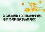 怎么挑选活虾（怎样挑选优质活鲜海虾 如何挑选优质的鲜海虾）
