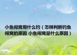 小鱼闹窝用什么钓（怎样判断钓鱼闹窝的原因 小鱼闹窝是什么原因）