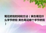 菊花修剪时间和方法（黄色菊花什么季节修剪 黄色菊花哪个季节修剪）