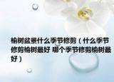 榆树盆景什么季节修剪（什么季节修剪榆树最好 哪个季节修剪榆树最好）