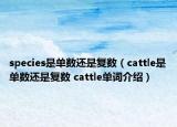 species是单数还是复数（cattle是单数还是复数 cattle单词介绍）