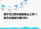 夏天可以把冰箱放阳台上吗?（夏天冰箱放外面行吗）