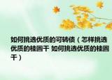 如何挑选优质的可转债（怎样挑选优质的桂圆干 如何挑选优质的桂圆干）