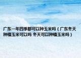广东一年四季都可以种玉米吗（广东冬天种植玉米可以吗 冬天可以种植玉米吗）
