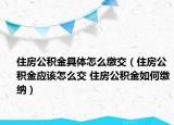 住房公积金具体怎么缴交（住房公积金应该怎么交 住房公积金如何缴纳）
