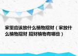 家里应该放什么植物招财（家放什么植物招财 招财植物有哪些）