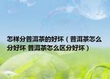 怎样分普洱茶的好坏（普洱茶怎么分好坏 普洱茶怎么区分好坏）