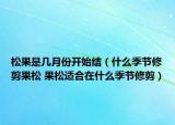 松果是几月份开始结（什么季节修剪果松 果松适合在什么季节修剪）