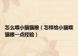 怎么喂小猫猫粮（怎样给小猫喂猫粮一点经验）