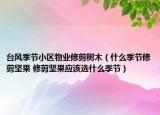 台风季节小区物业修剪树木（什么季节修剪坚果 修剪坚果应该选什么季节）