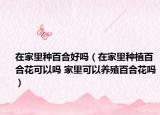 在家里种百合好吗（在家里种植百合花可以吗 家里可以养殖百合花吗）