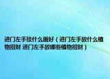 进门左手挂什么画好（进门左手放什么植物招财 进门左手放哪些植物招财）