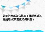 好吃的西瓜怎么挑选（优质西瓜怎样挑选 优质西瓜如何挑选）