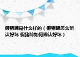 假猪蹄是什么样的（假猪蹄怎么辨认好坏 假猪蹄如何辨认好坏）
