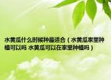 水黄瓜什么时候种最适合（水黄瓜家里种植可以吗 水黄瓜可以在家里种植吗）