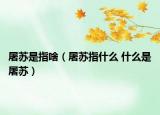 屠苏是指啥（屠苏指什么 什么是屠苏）