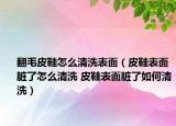 翻毛皮鞋怎么清洗表面（皮鞋表面脏了怎么清洗 皮鞋表面脏了如何清洗）
