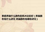 家庭养猫什么颜色的风水比较好（养猫颜色有什么讲究 养猫颜色有哪些讲究）