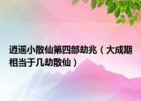 逍遥小散仙第四部劫兆（大成期相当于几劫散仙）