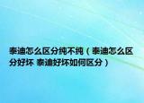 泰迪怎么区分纯不纯（泰迪怎么区分好坏 泰迪好坏如何区分）