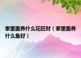 家里面养什么花旺财（家里面养什么鱼好）