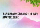 多大的猫咪可以吃零食（多大的猫咪可以洗澡）