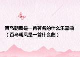 百鸟朝凤是一首著名的什么乐器曲（百鸟朝凤是一首什么曲）
