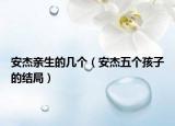 安杰亲生的几个（安杰五个孩子的结局）